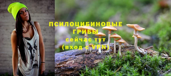 соль ск Кинешма